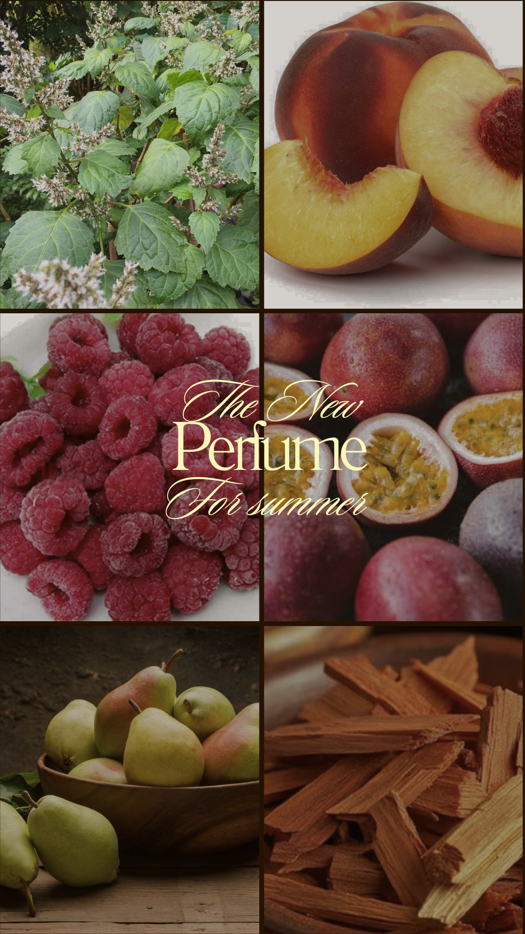 Tropical Silk Passion Fruit Perfume