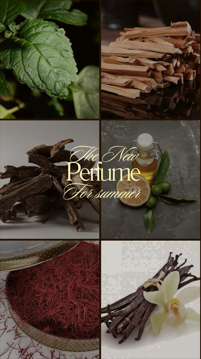 BLACK SIGNATURE PERFUME