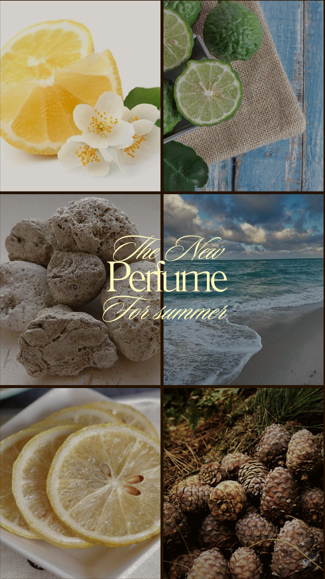 Silent Waves Unisex Perfume